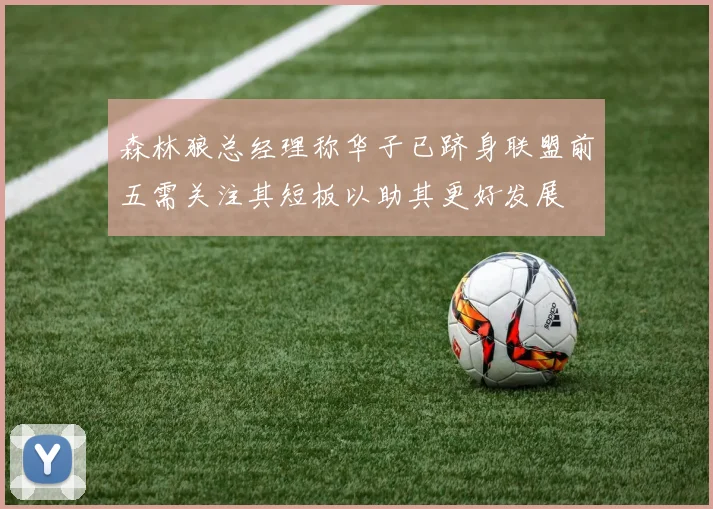 森林狼总经理称华子已跻身联盟前五需关注其短板以助其更好发展