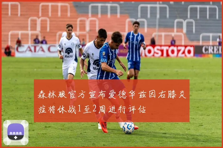 森林狼官方宣布爱德华兹因右膝炎症将休战1至2周进行评估